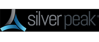 Partner 6